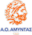 Logo of basketball club Amyntas