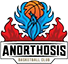 Anorthosis
