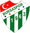 Логотип баскетбольного клуба Bursaspor