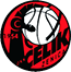 Celik