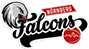 Logo of basketball club Nurnberger
