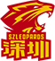 Logo of basketball club Shenzhen
