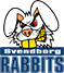 Логотип баскетбольного клуба Svendborg
