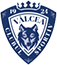 Logo of basketball club Valcea